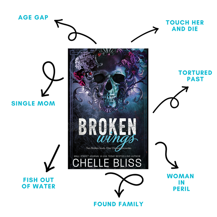 Broken Wings Discreet Paperback